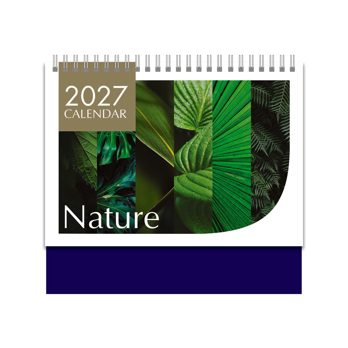 CAL-036 Nature