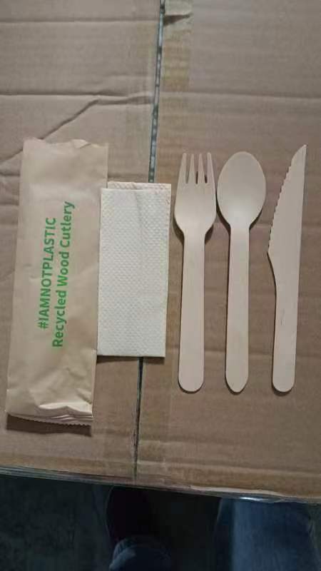 Eco Cutlery Set (Disposable)